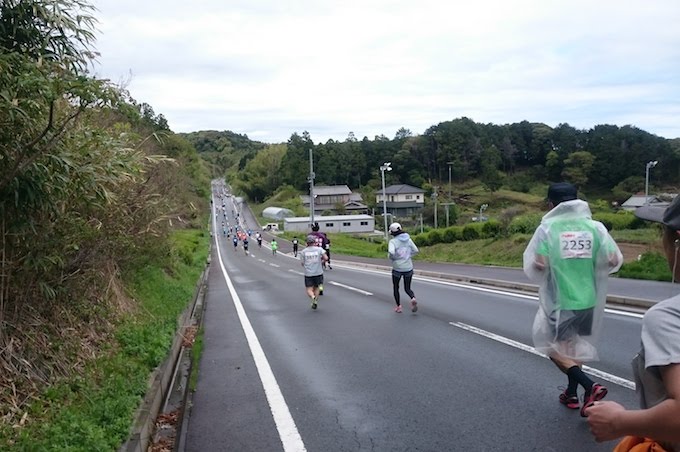 第13回掛川新茶マラソン